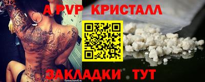 спиды Аргун